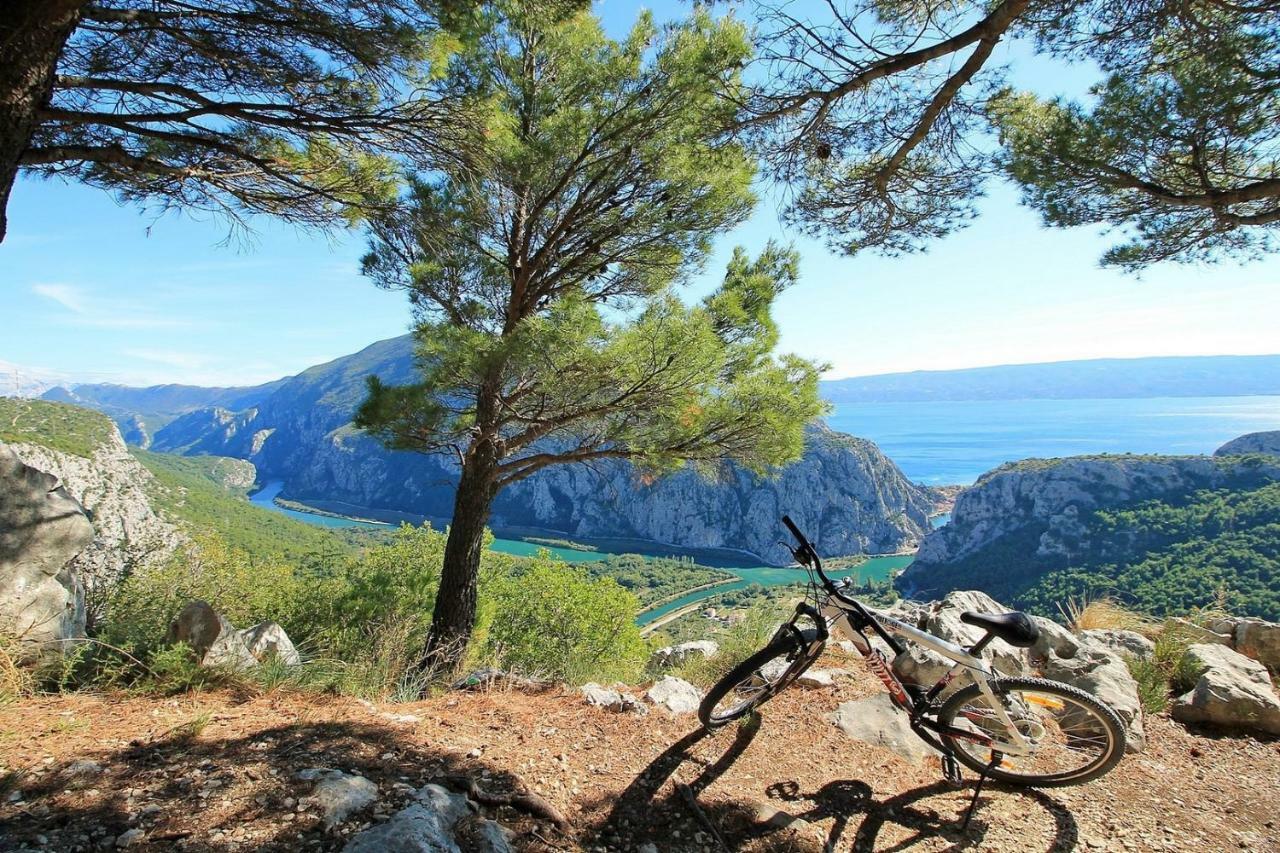 Villa Ana - 3 Bedroom Villa With Private Pool And Unspoiled Natural Environment Kučiće Εξωτερικό φωτογραφία