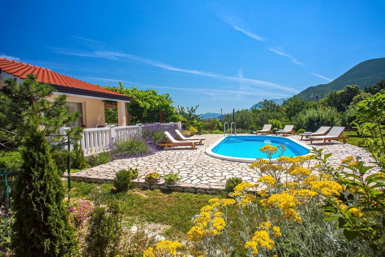 Villa Ana - 3 Bedroom Villa With Private Pool And Unspoiled Natural Environment Kučiće Εξωτερικό φωτογραφία